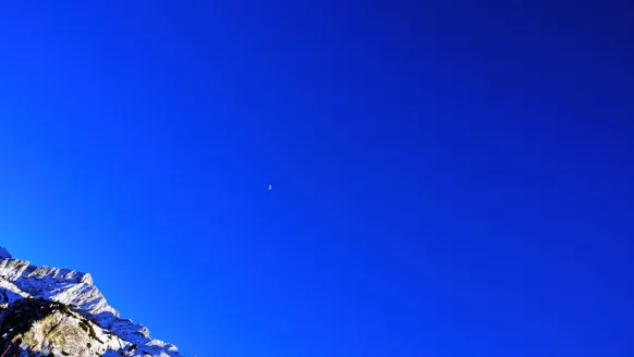 Casino Bet Rocker Ënnerstëtzung